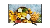 Monitor LED de 42,5" DS-D5043QE