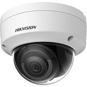 Hikvision Camera de supraveghere DS-2CD2121G0-IS